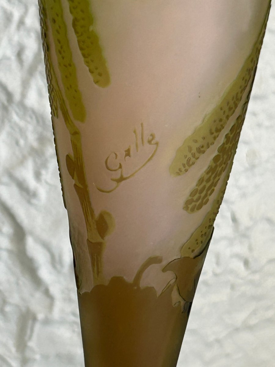 Emile Gallé Acid-etched Vase With Chaton Decor-photo-4