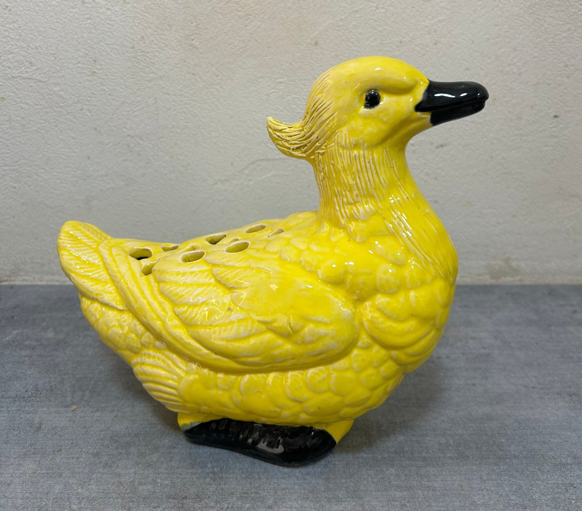 canard pic fleur Jean Roger Paris-photo-2