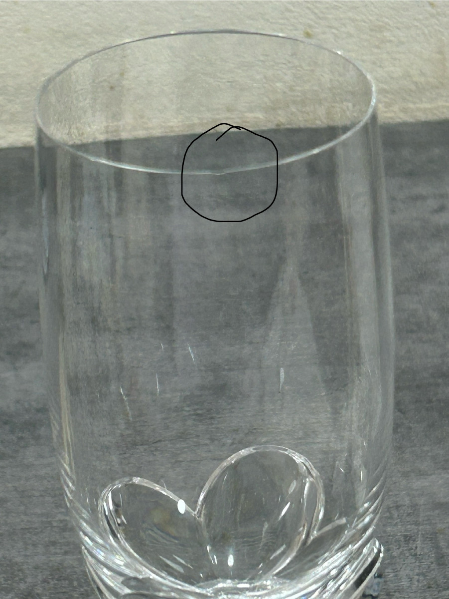 Lalique France Crystal Glass Service Blois Model-photo-1