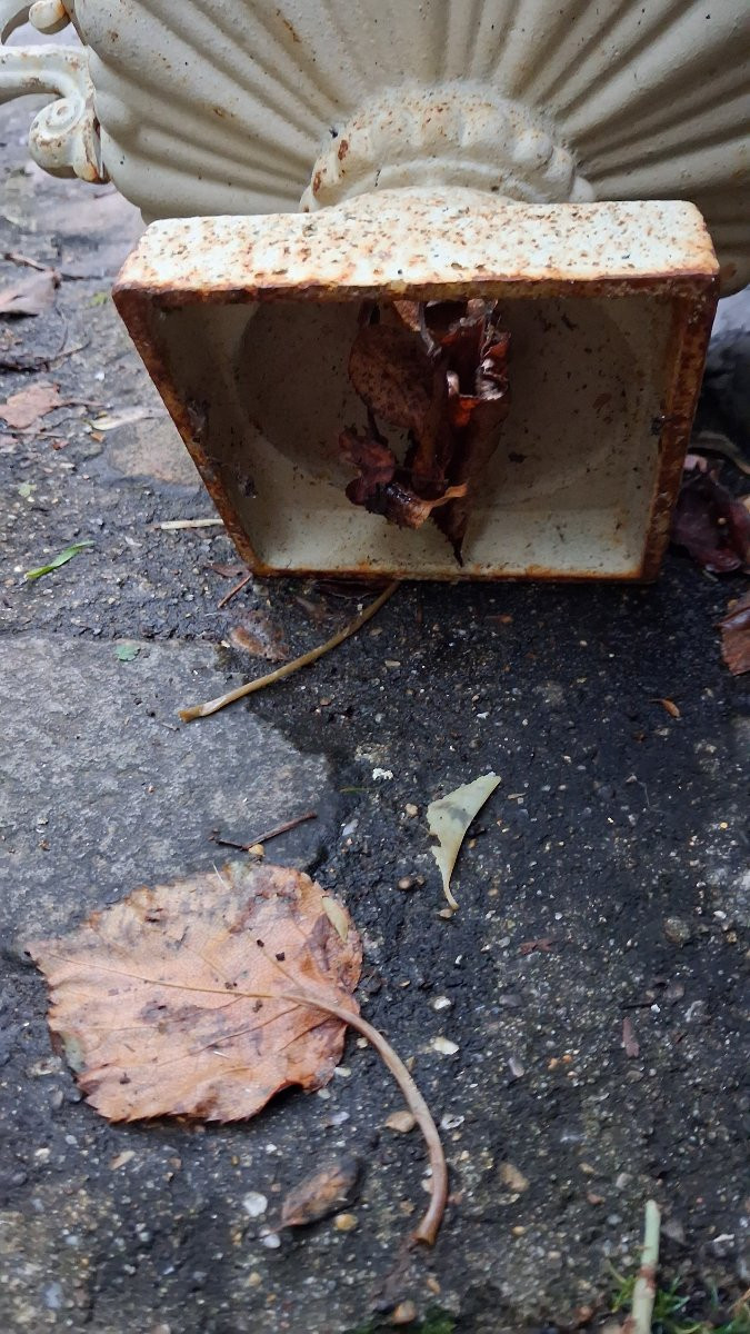 Medici Vase, Cast Iron Garden Basin -photo-3