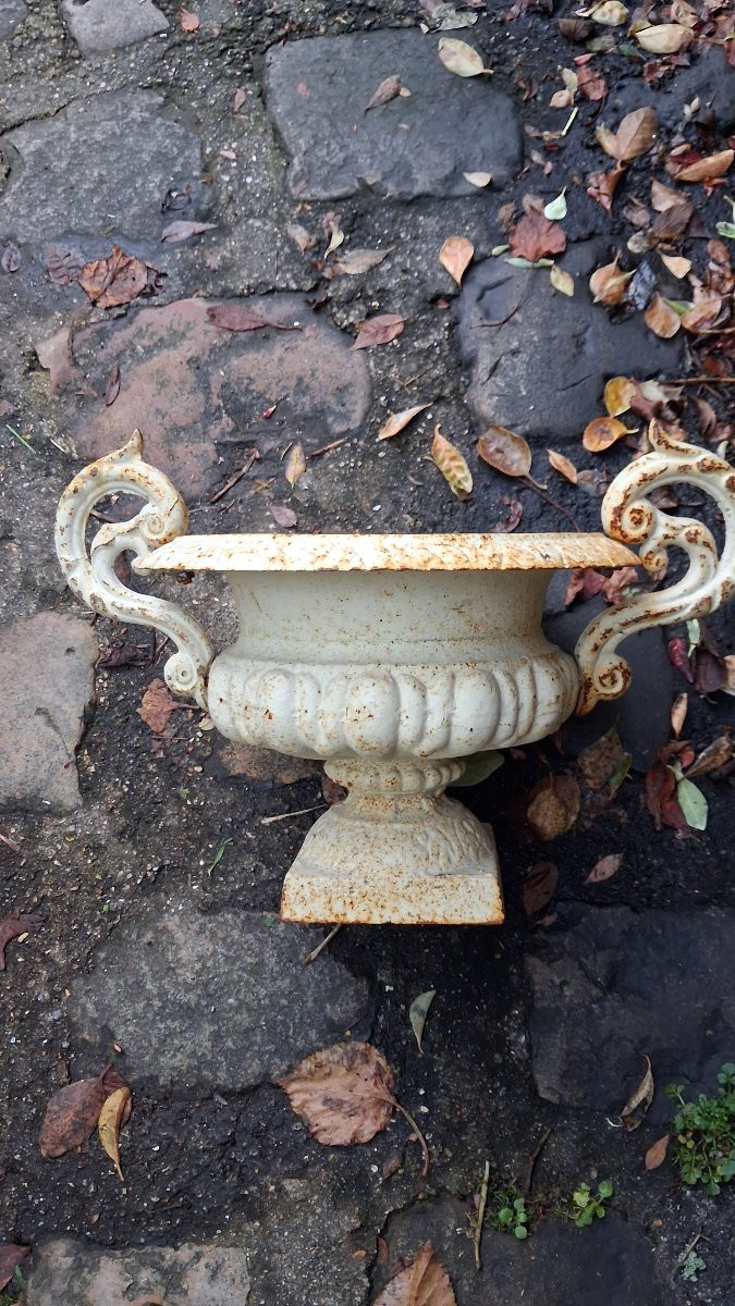 Medici Vase, Cast Iron Garden Basin -photo-4