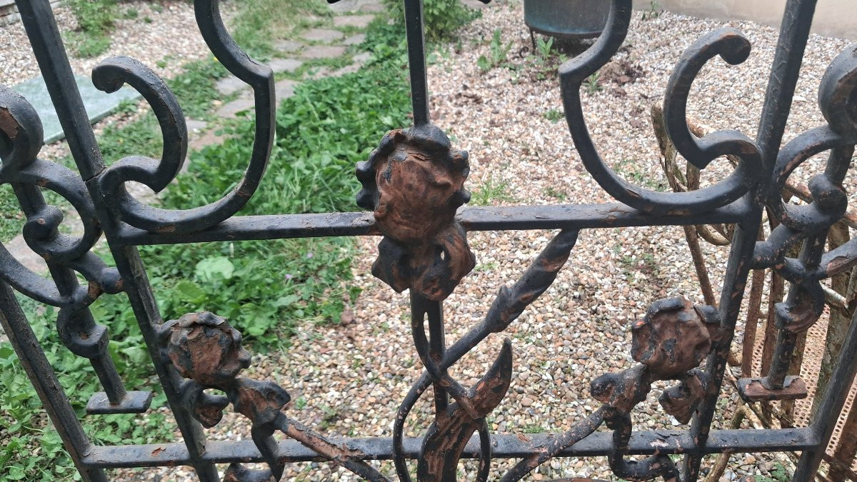 Grille de porte en fer forgé -photo-6