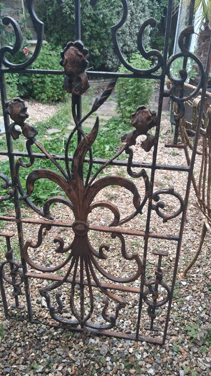 Grille de porte en fer forgé -photo-7