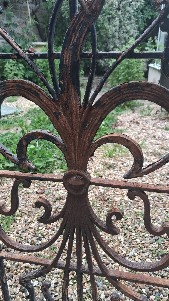 Grille de porte en fer forgé -photo-8
