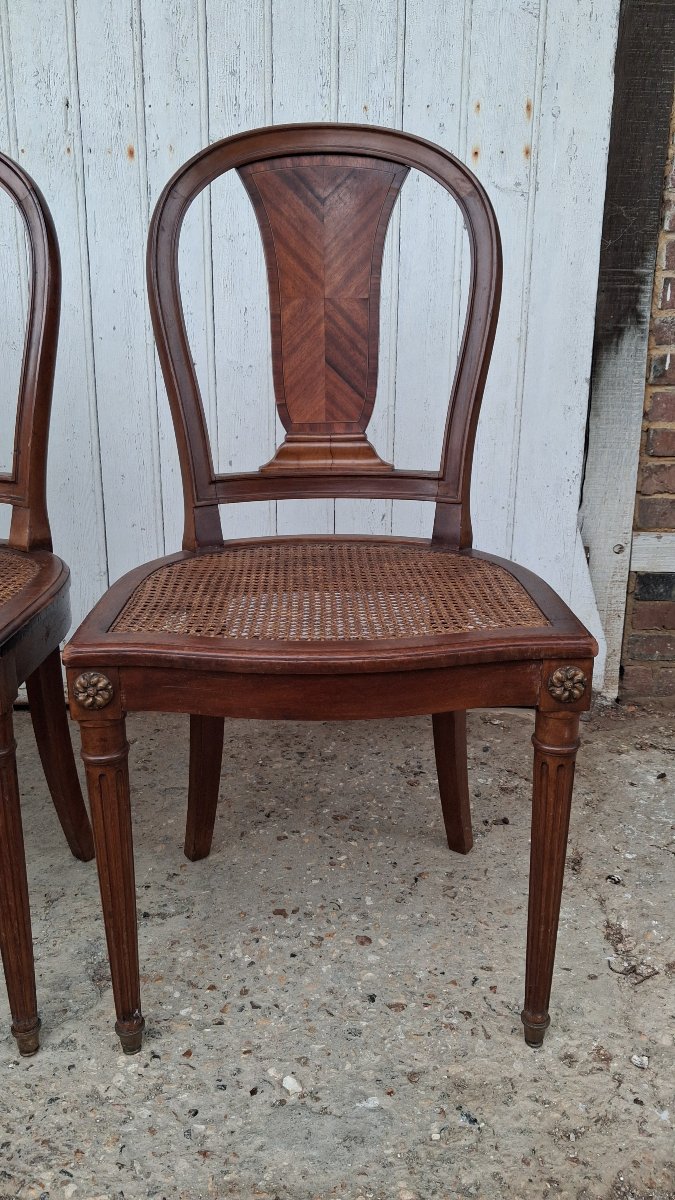 Louis XVI-style Mahogany Chairs-photo-4
