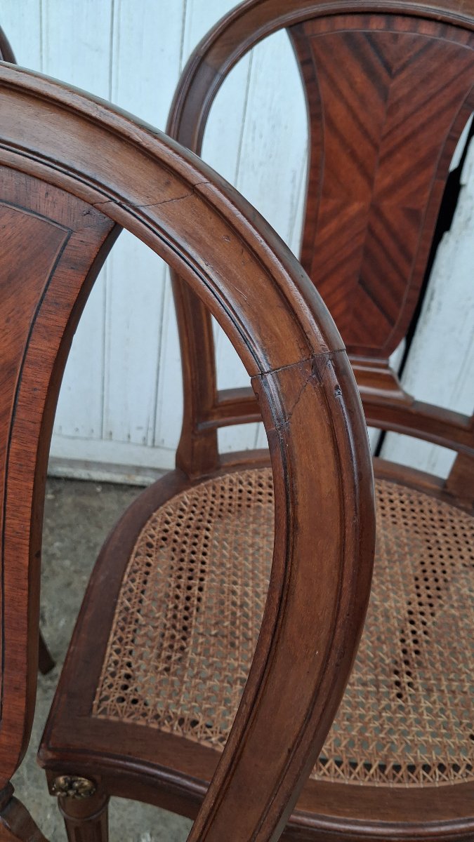 Louis XVI-style Mahogany Chairs-photo-1