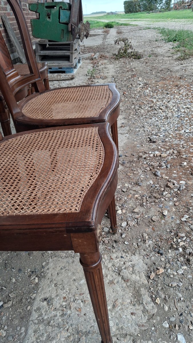Louis XVI-style Mahogany Chairs-photo-3