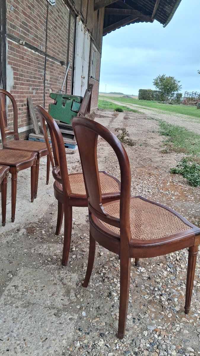 Louis XVI-style Mahogany Chairs-photo-6