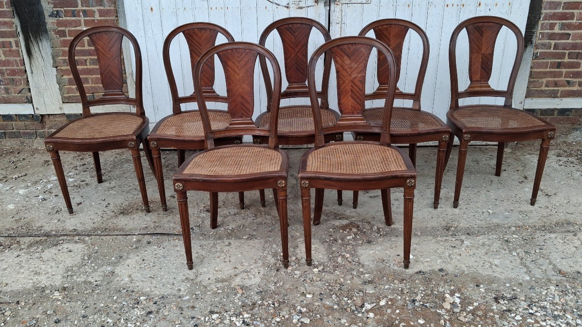 Louis XVI-style Mahogany Chairs