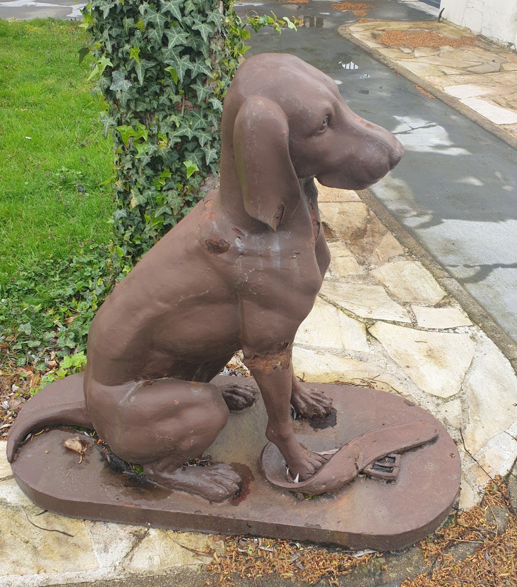 Life Size Cast Iron Garden Dog Dommartin 20th Century 