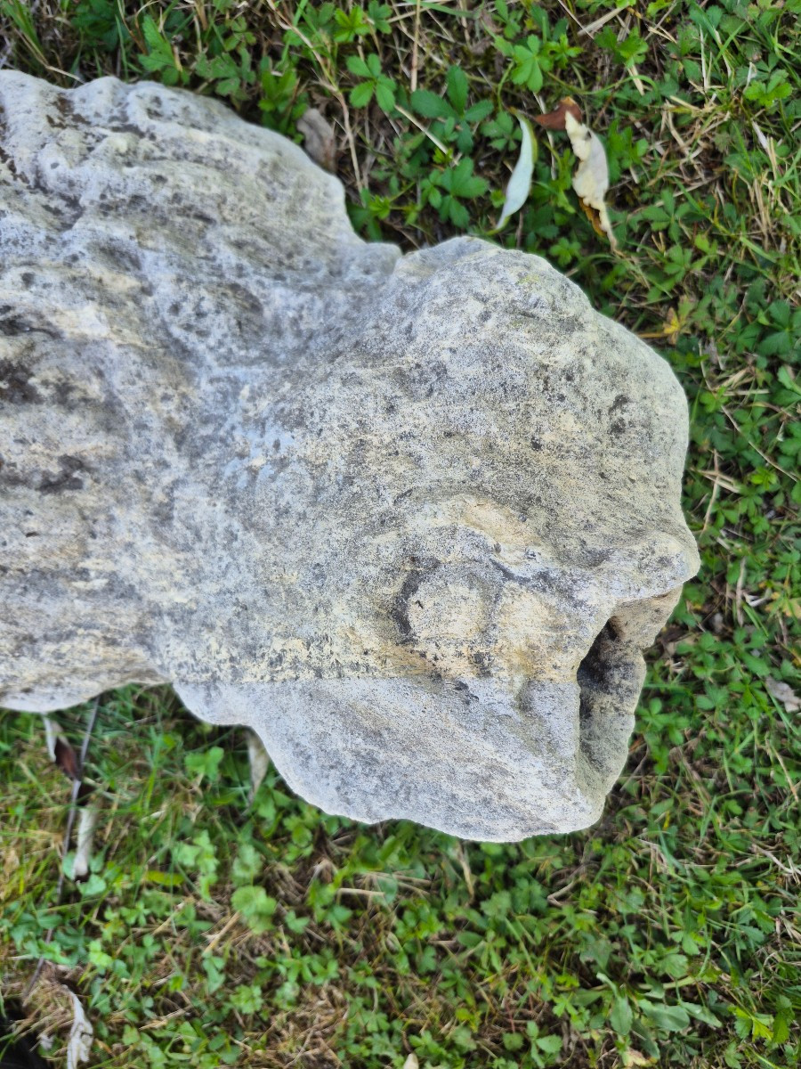 Gothic High Period Monster Head Gargoyle -photo-2