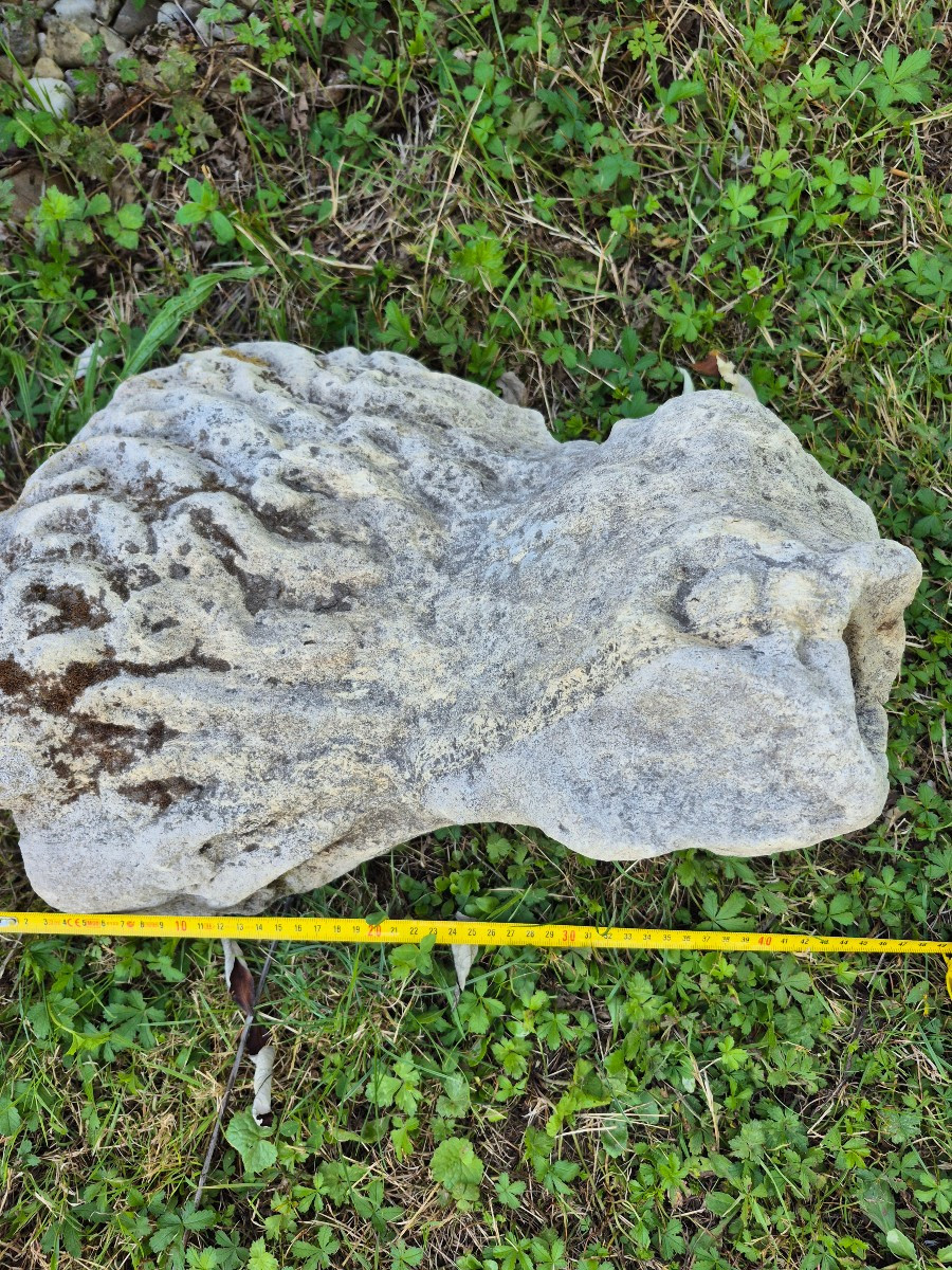 Gothic High Period Monster Head Gargoyle -photo-2