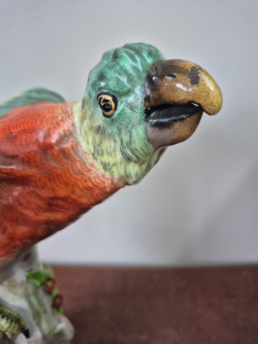 Paris Porcelain Parrot Late 19th Eme (perched Macaw)-photo-3