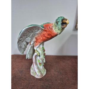Paris Porcelain Parrot Late 19th Eme (perched Macaw)