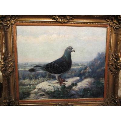 Huile Sur Panneau : Pigeon Dans Un Paysage par Jean Baldauf.