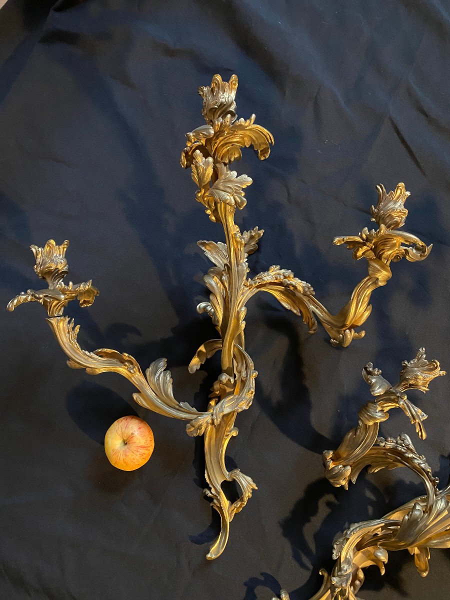 Pair Of Louis XV Wall Lights, 19th Century-photo-3