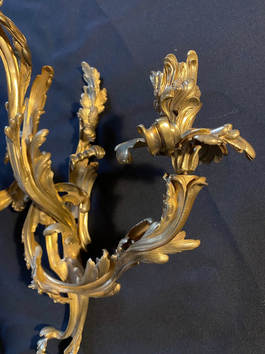 Pair Of Louis XV Wall Lights, 19th Century-photo-1