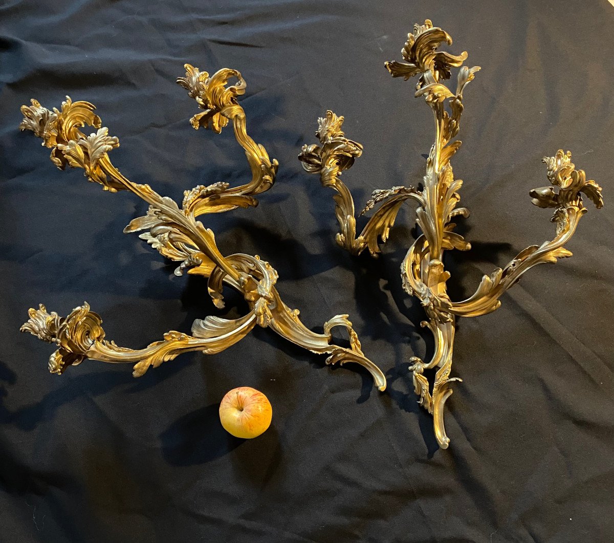 Pair Of Louis XV Wall Lights, 19th Century