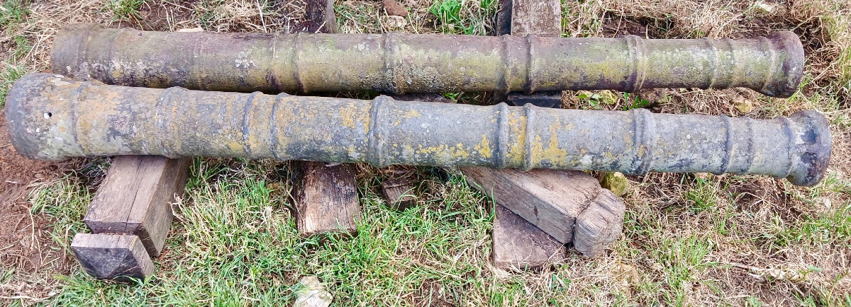 Paire de canons de campagne, Bourgogne-photo-2