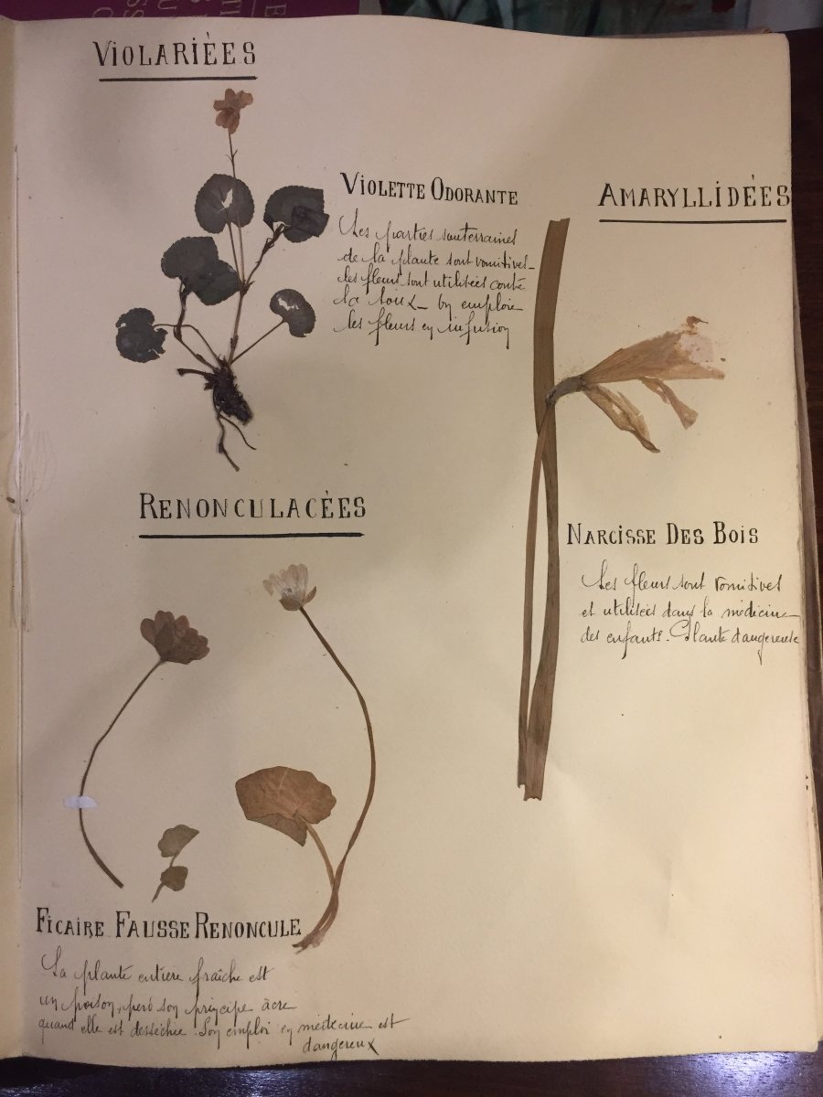 Herbier XIXeme Siècle 122 Planches-photo-1