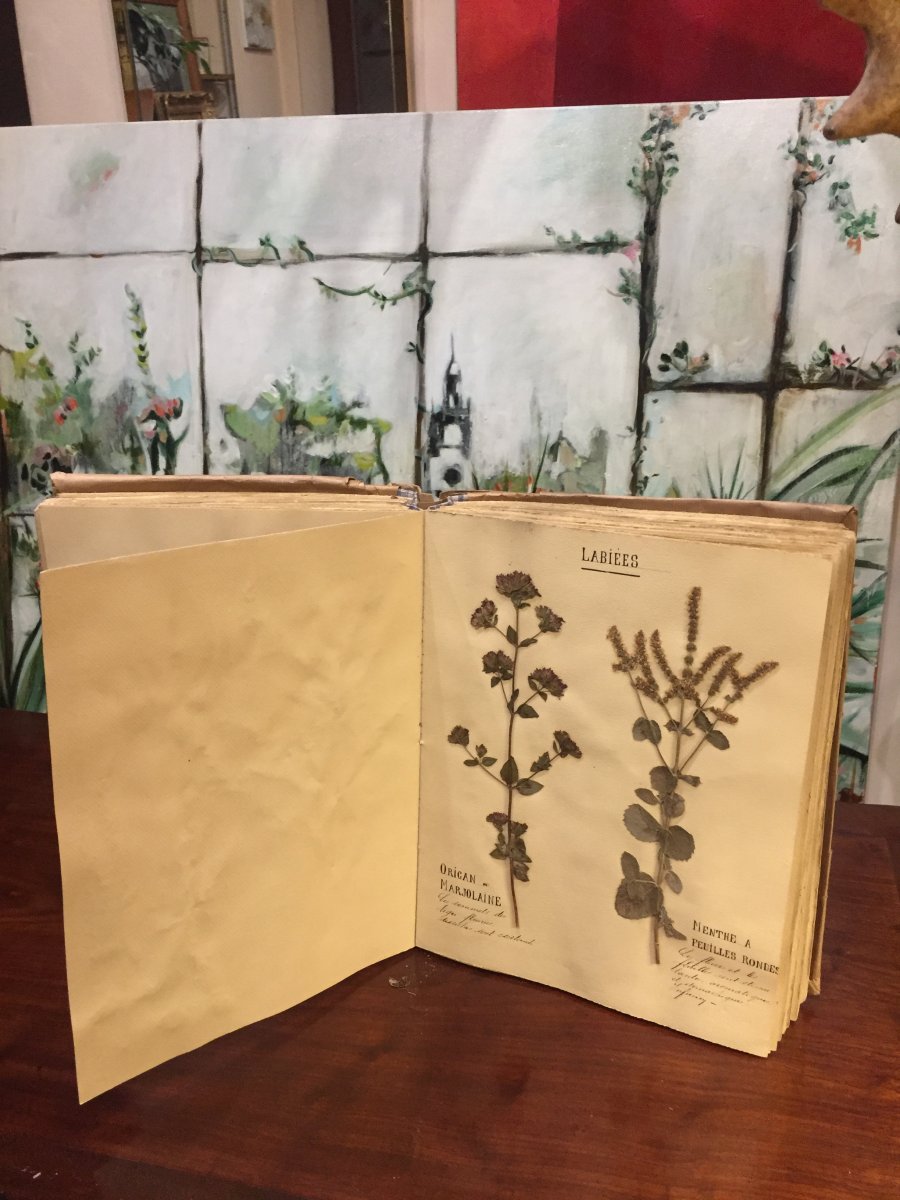 Herbier XIXeme Siècle 122 Planches
