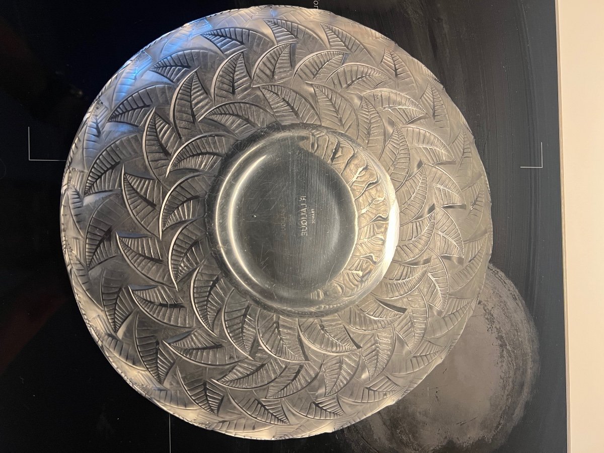 Large Plate Signed R. Lalique Modeled Ormeaux 1931-photo-2
