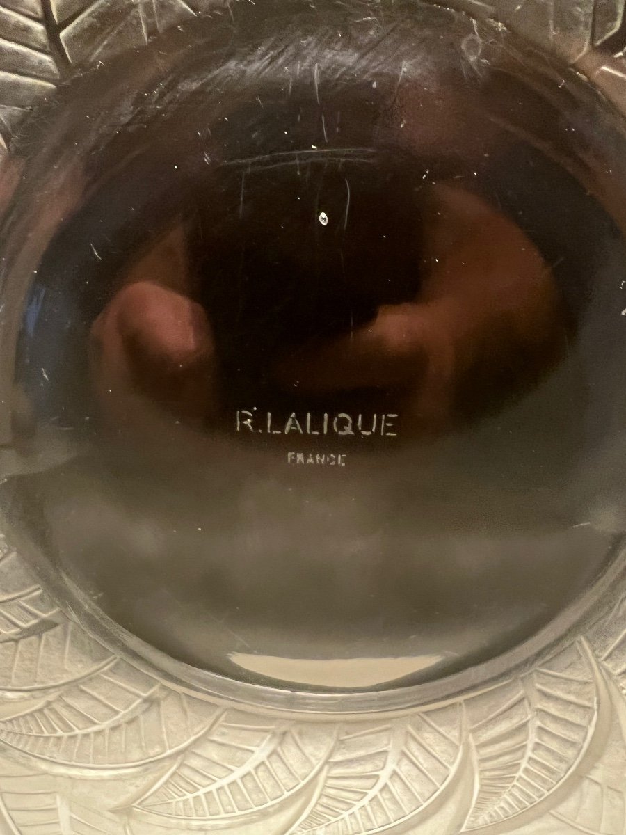 Large Plate Signed R. Lalique Modeled Ormeaux 1931-photo-4