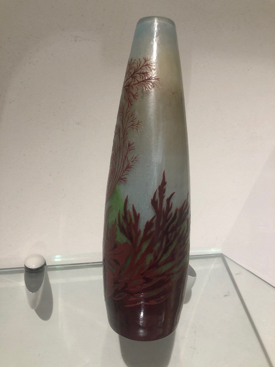 Vase Galle Aux Algues-photo-7