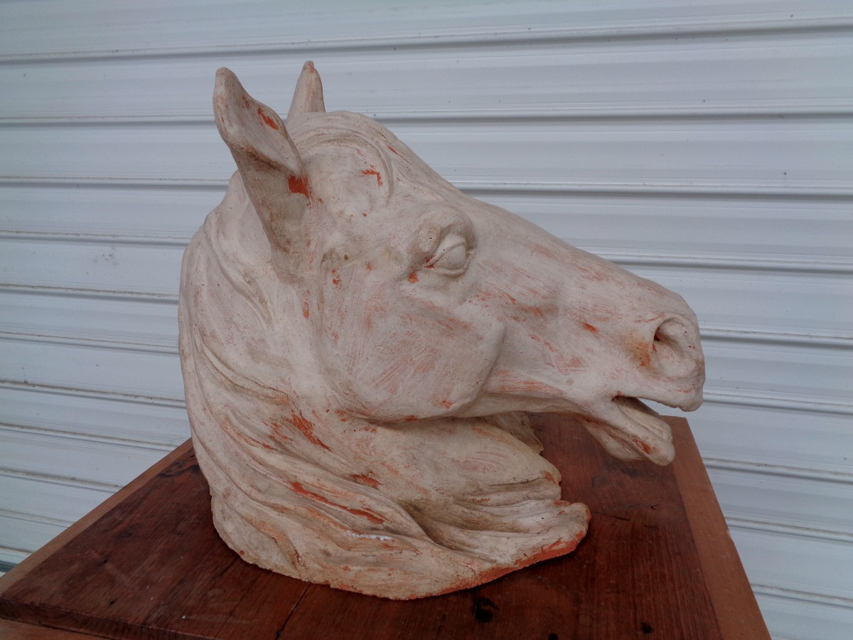 20th Century Terracotta Horse Head