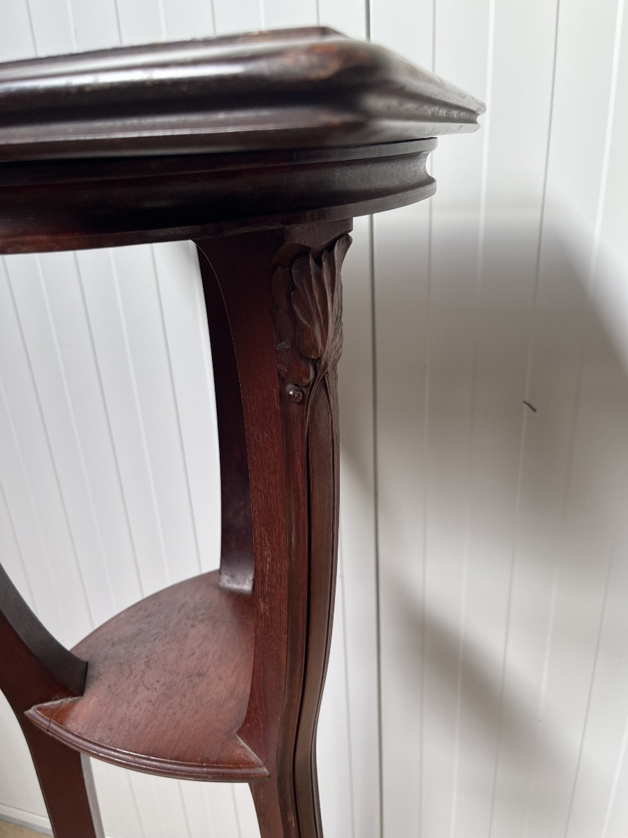 Art Nouveau 1900 Presentation Stand In Mahogany-photo-3
