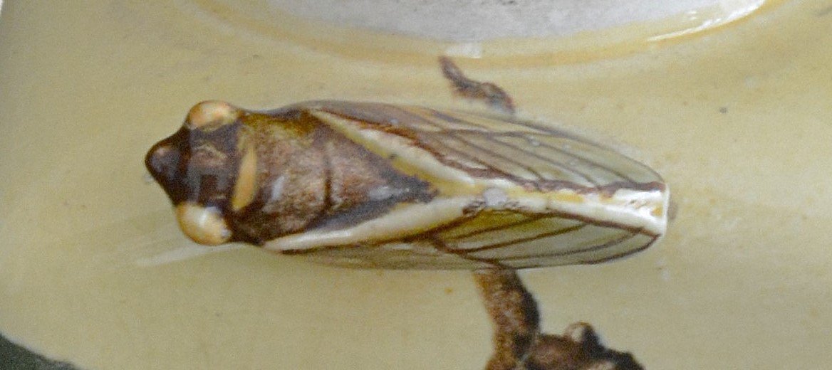 Sarreguemines Coffee Grinder With A  Cicada-photo-1