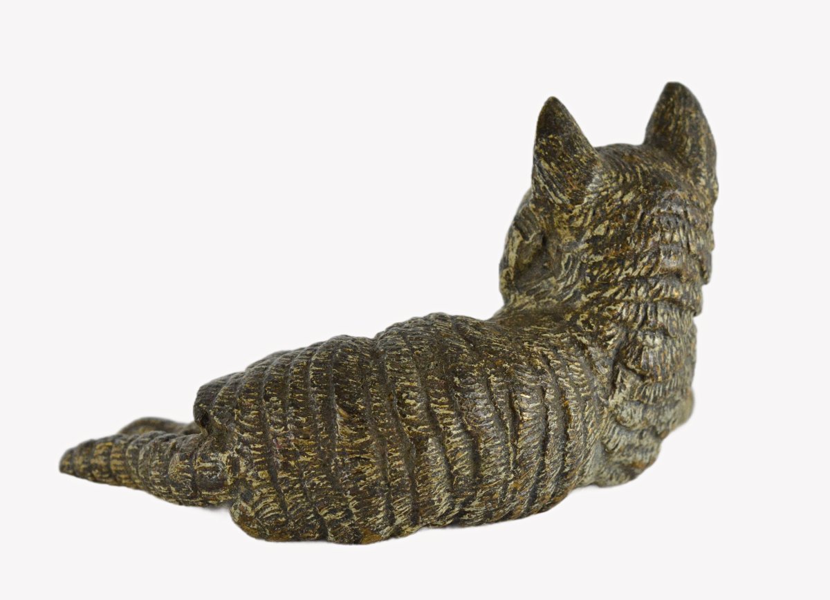 Vienna Bronze Cat-photo-2