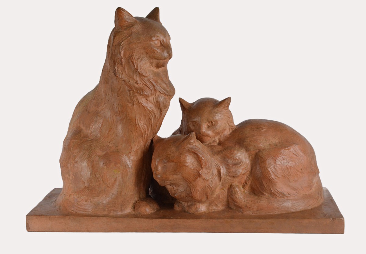 Groupe de chats de R. Pollin