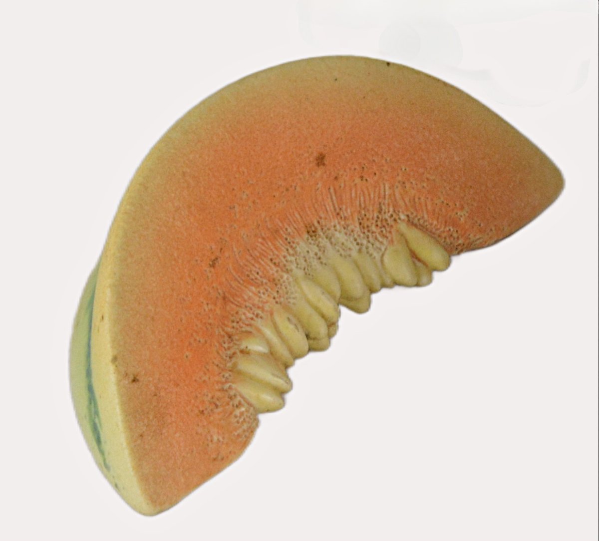 Melon et prune en trompe l'oeil-photo-2