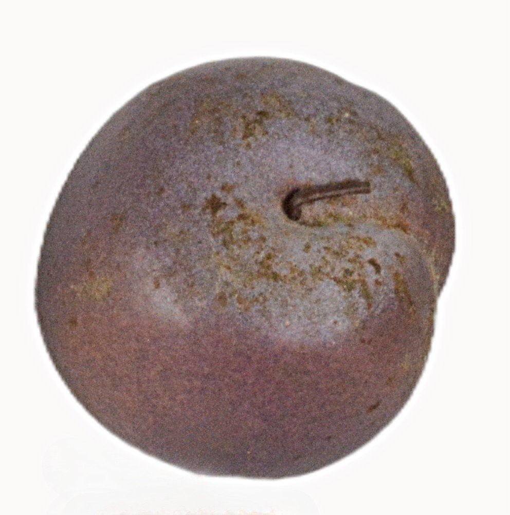 Melon et prune en trompe l'oeil-photo-3