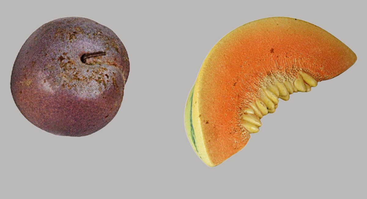 Melon et prune en trompe l'oeil