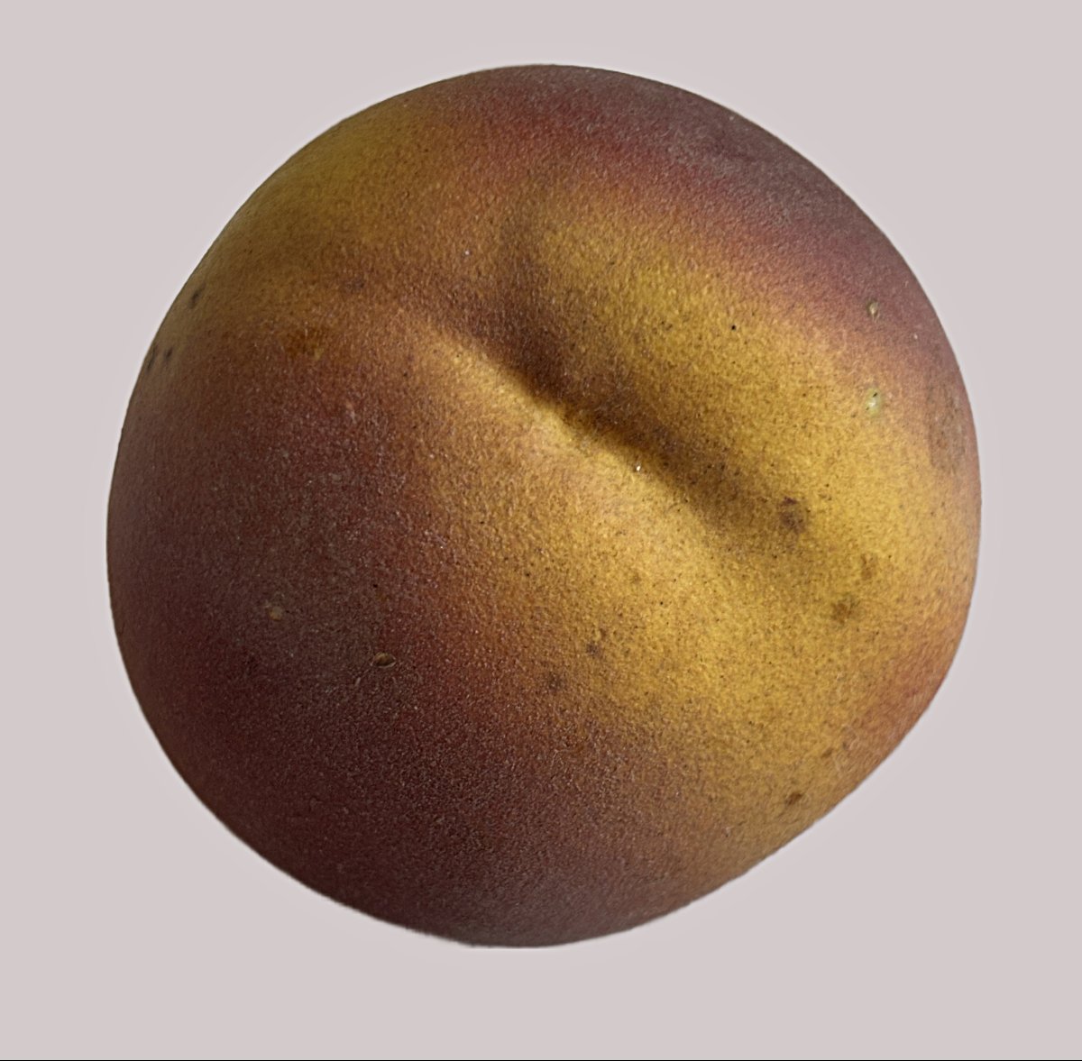 Peach In Trompe-l'oeil-photo-4