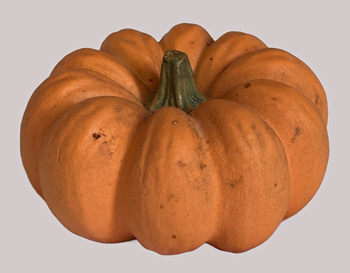 Small Trompe-l'oeil Squash