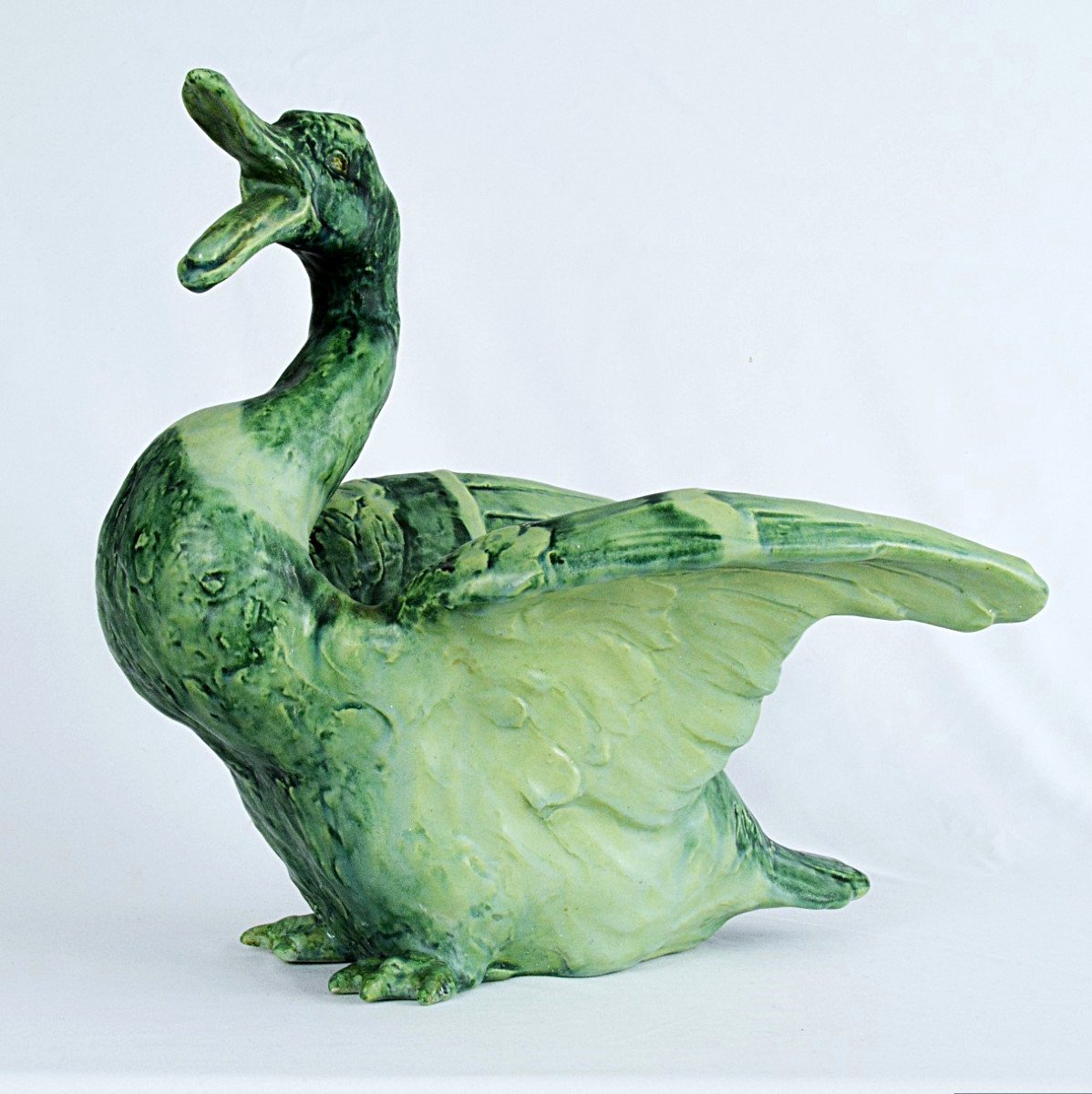 Canard vert de Lachenal