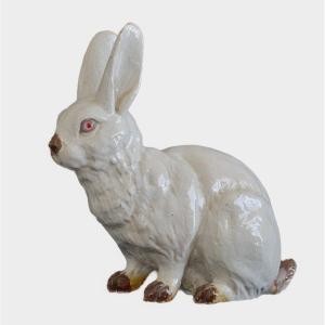 Great White Rabbit Of Caen