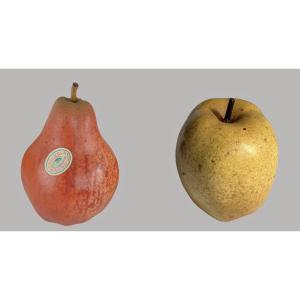 Poire et pomme en trompe l'oeil