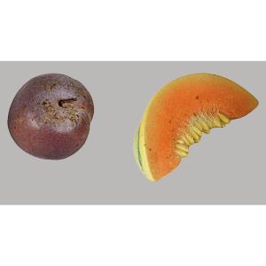 Melon et prune en trompe l'oeil