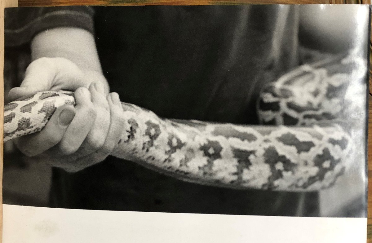 Christopher Makos (1948) American: "snake, Sex", Photographic Print Signed On The Back-photo-2