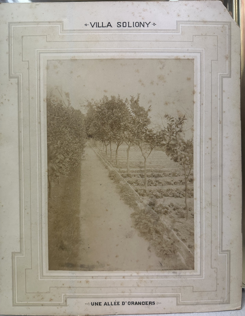 19th Century School: "académie d'Homme" Pencil Drawing Glued To The Back Of A Photo Of The Villa Soligny-photo-4