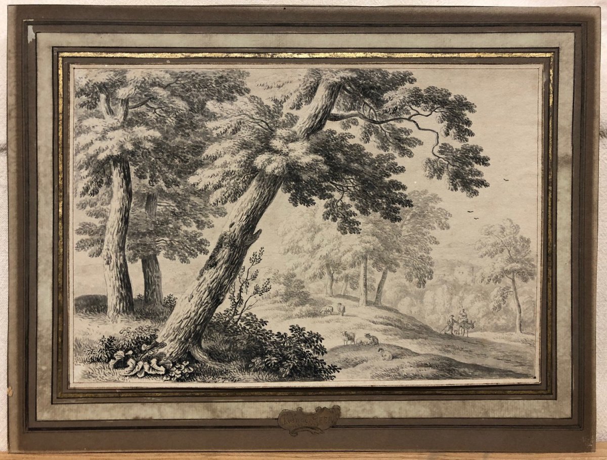  Jan Van Der Meer (1656-1705) Attributed - "sheep In The Undergrowth"