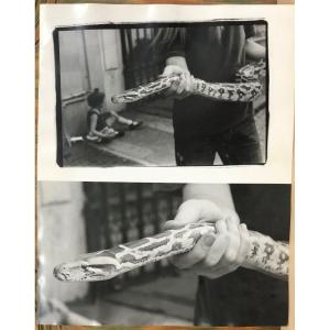 Christopher Makos (1948) "snake, Sex And Little Girl", Photographic Print Signed On The Back