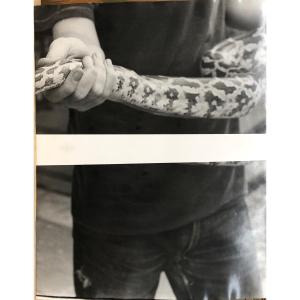 Christopher Makos (1948) American: "snake, Sex", Photographic Print Signed On The Back