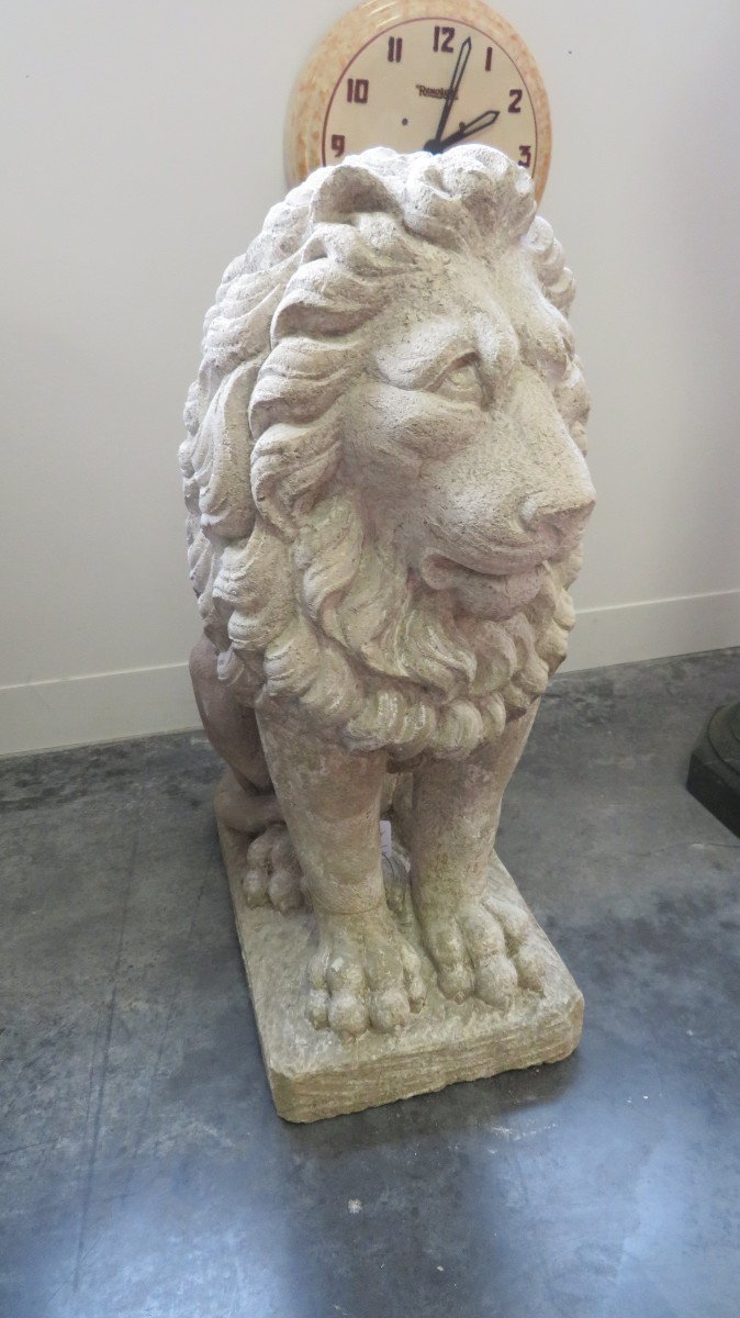 Lion En Pierre-photo-2