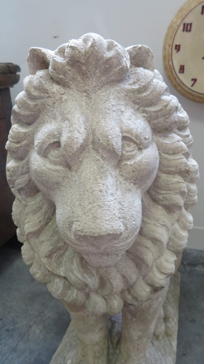 Stone Lion-photo-3