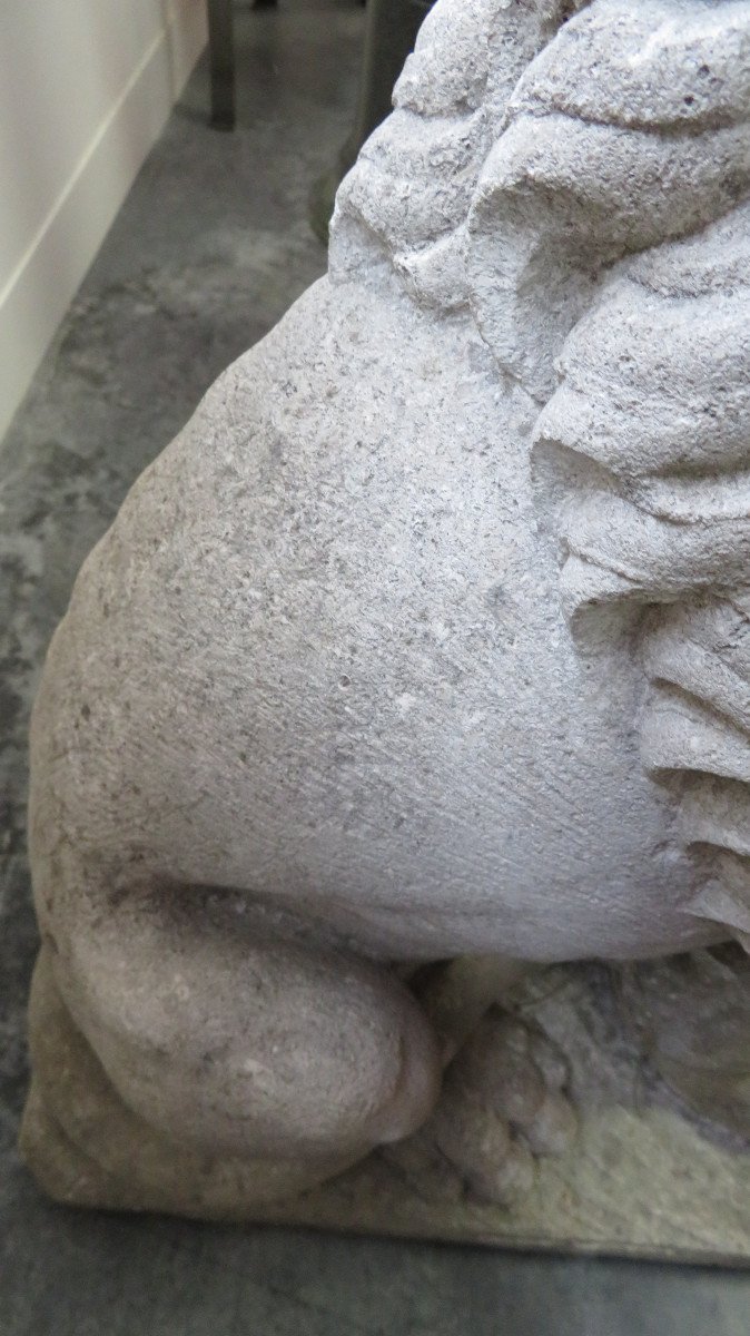 Stone Lion-photo-2